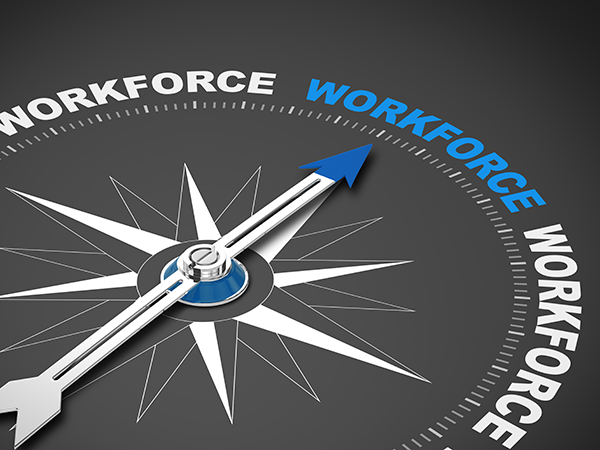 Workforce Literacy